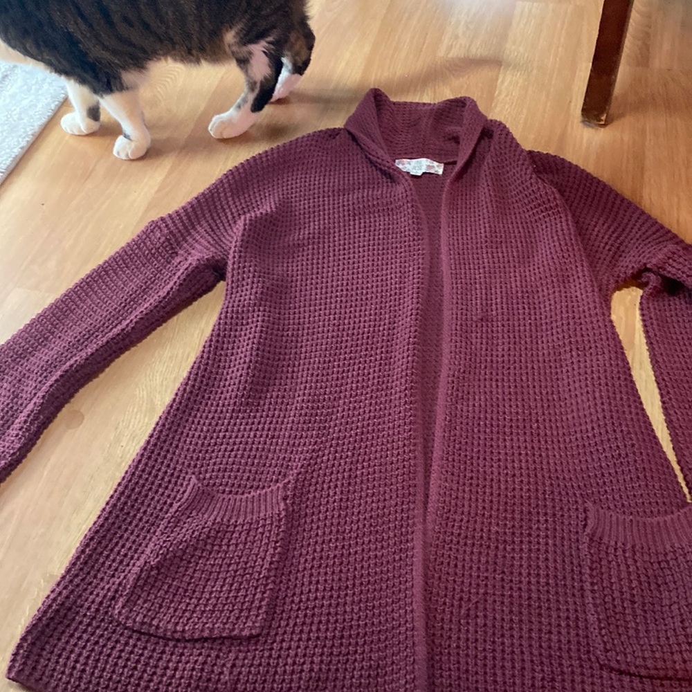 Cardigan sweater